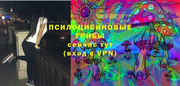 стафф Пролетарск