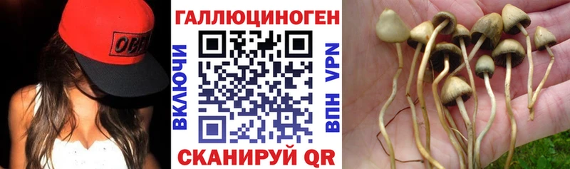 Псилоцибиновые грибы Magic Shrooms  Сергач 